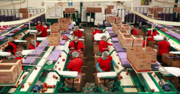 Industria de exportación en la Capital superó los 28,451 mdp en remuneraciones durante 2025