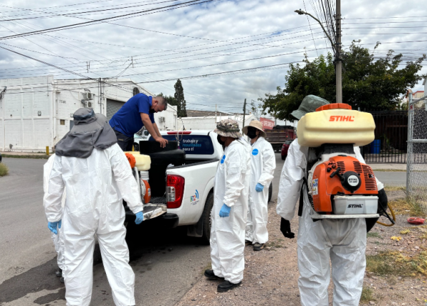 Lleva Municipio programa “Megapatio de mi Casa” a Punta Oriente