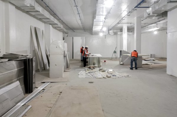 Planta que producirá moscas estériles para erradicar el gusano barrenador del ganado lleva 75% de avance