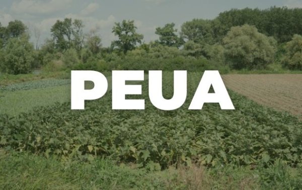 Cierra este martes plazo para que productores accedan a subsidio de energía eléctrica