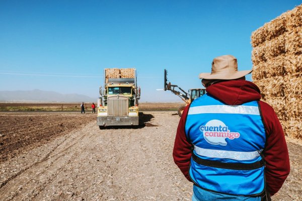 Entregan Fideapech y Desarrollo Rural más de 18.5 mdp en créditos a productores agrícolas y pecuarios