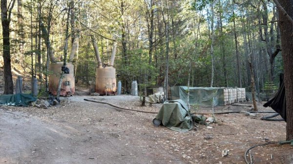 El narco puso alcalde de Morena en Morelos, ¿porqué no denunció el narcolaboratorio?: Alex Domínguez