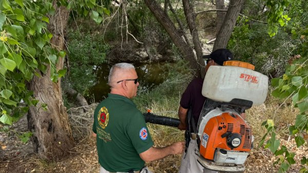Inició Protección Civil Delicias fumigación en drenes para prevenir el dengue
