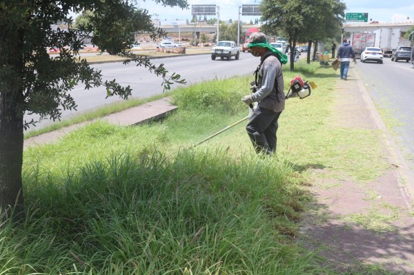 Trabaja Gobierno Municipal de forma permanente en limpieza de avenidas al sur de la ciudad