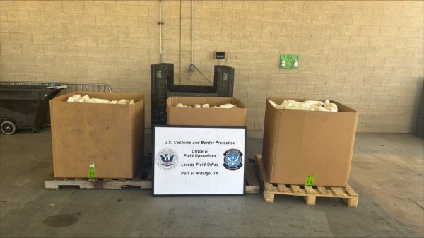 CBP asegura metanfetaminas valuadas en 15 mdd en un cargamento de apio procedente de Reynosa