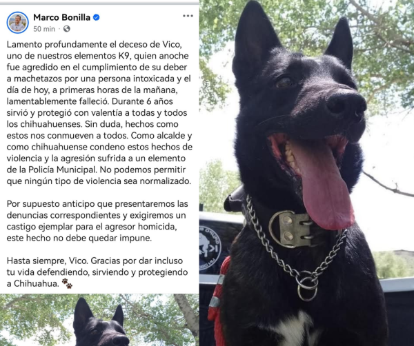 Lamenta Bonilla deceso del elemento K-9  “Vico” y condena el maltrato animal
