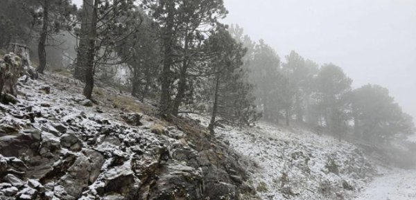 Se prevé presencia de aguanieve en la Sierra de Chihuahua para este domingo