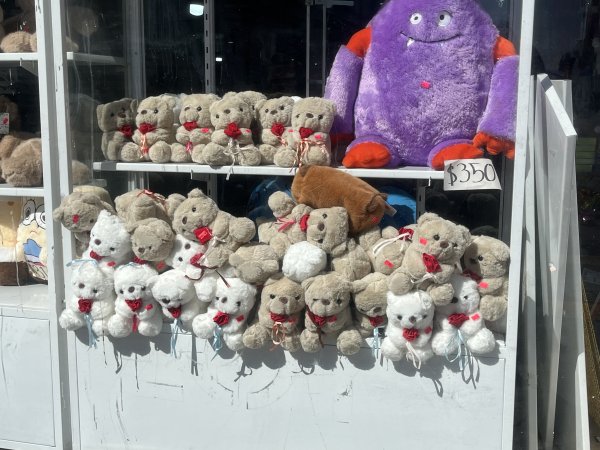 Esperan Cocentro aumento de hasta 45% en ventas por San Valentín