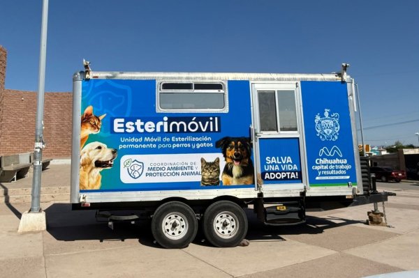 Estará Esterimóvil del Municipio en Valle Dorado con servicios gratuitos para perros y gatos