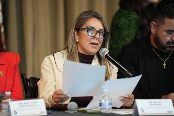 Diputada Rosana Díaz propone facilitar el acceso ciudadano al plebiscito