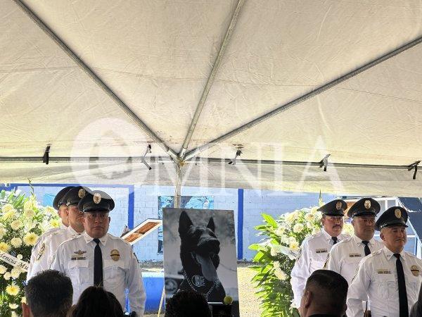 Rinden homenaje al elemento k9 caído “Vico”