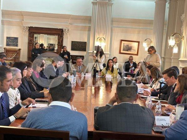 Analizarán Comisiones del Ayuntamiento la realización de una Reforma para sanciones e infracciones severas por maltrato animal