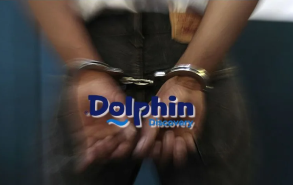Detienen al CEO de Dolphin Discovery en Cancún
