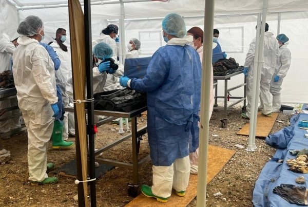 Juez Federal ordena liberación inmediata al propietario del Crematorio Plenitud tras amparo federal