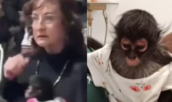 Renuncia regidora en Ocotlán tras polémica por mono araña