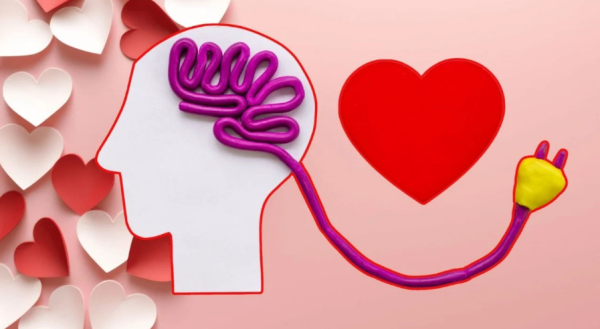14 de febrero: ¿el amor se siente en el corazón o en el cerebro? Esto dice la ciencia