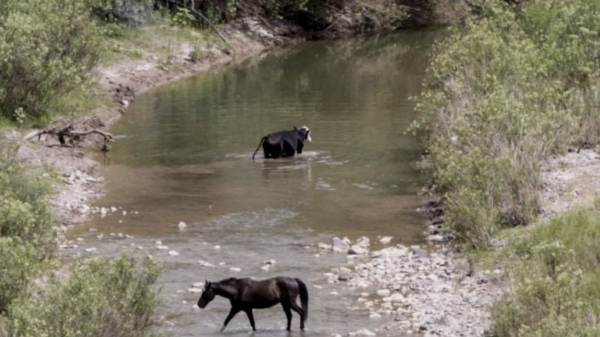 Desastre sin cierre: Semarnat revisan contaminación en el río Sonora tras derrame minero de 2014