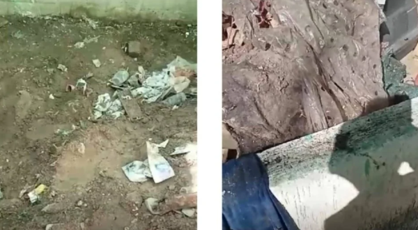 Buscadores localizan osamenta presuntamente de menor de 13 años en un inmueble abandonado en Jalisco