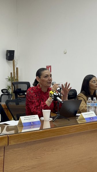 Ojalá y el voto electrónico sea el siguiente paso pero conllevaría mucha inversión: IEE