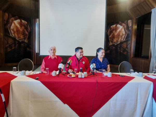 Elección en el PRI será de consulta a la base: Alex Domínguez