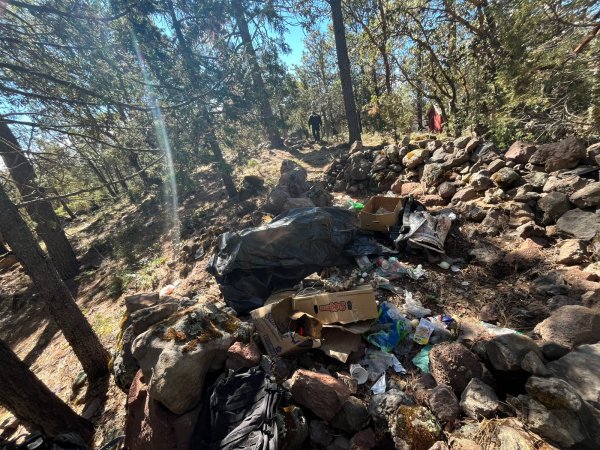 Destruye SSPE campamentos improvisados en zona serrana de Guachochi