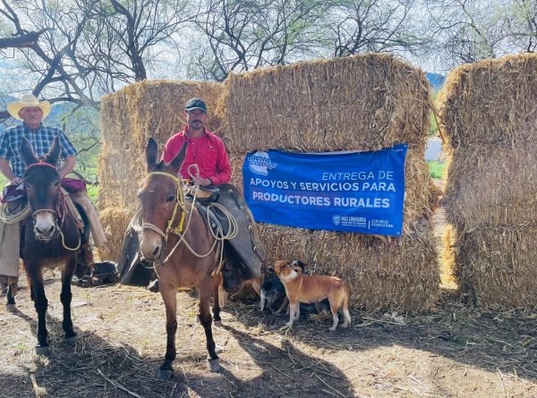 Gobierno del Estado fortalece al sector rural en la Sierra Tarahumara con obras y apoyos productivos