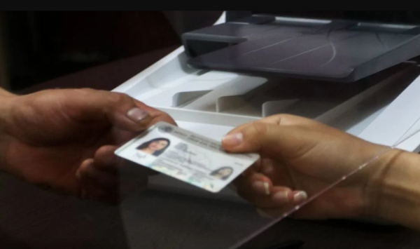 Cédula profesional deja de ser identificación oficial; sólo respaldará el nivel de estudios