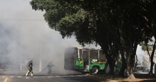 Líneas de autobuses suspenden operaciones hacia Jalisco, Bajío y el Norte de México