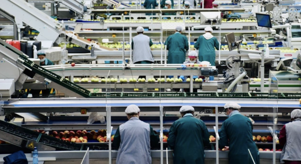 Alertan que crimen organizado provoca pérdidas por 19% de la riqueza producida por la manufactura y agroindustria