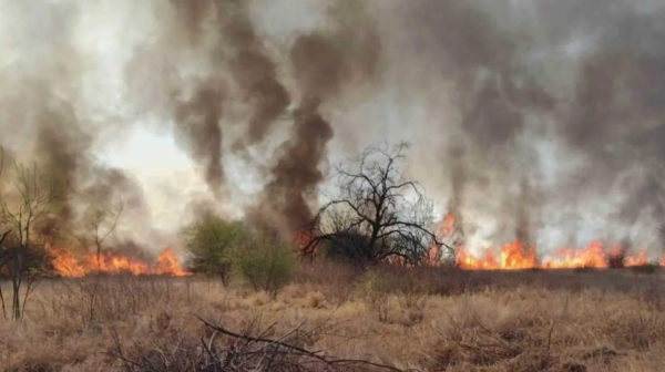 Reportan 22 incendios activos en el país