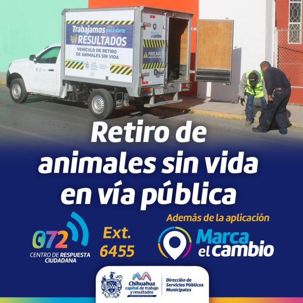 Municipio brinda servicio de retiro de animales sin vida en la vía pública