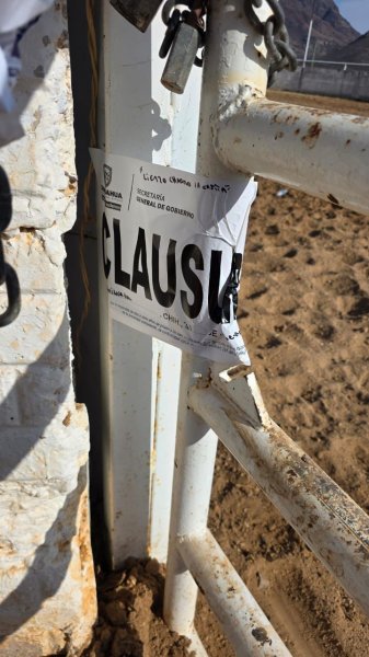 Clausura Gobernación Estatal  evento de pelea de gallos y coleadero