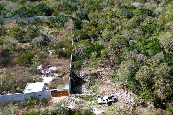 Profepa clausura obras en predio con valor ambiental y arqueológico en el Parque Dzibilchaltún, en Yucatán