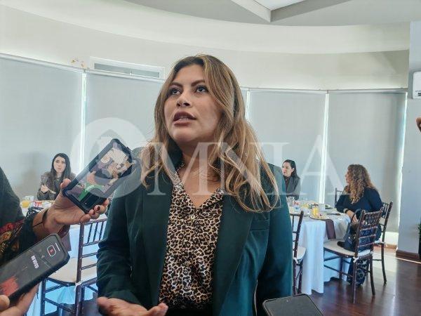 Cacería contra diputadas, por qué no juzgan a América que avaló endeudamiento: Irlanda Márquez