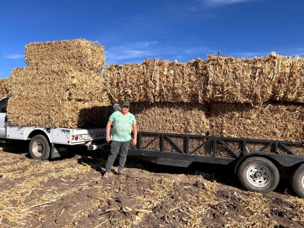 Suman cerca de 3 mil pacas de rastrojo entregadas a productores durante los primeros días de enero