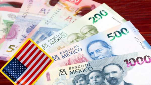 Vacante oficial en EE. UU. ofrece empleo a jornaleros con sueldo de 35,000 pesos