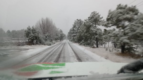 Suman 7 los municipios con presencia de nieve en el estado; mantiene Protección Civil alerta por bajas temperaturas