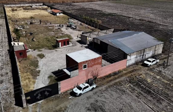 Rancho Izaguirre: Guerreros Buscadores acusan abandono del caso por parte de la FGR