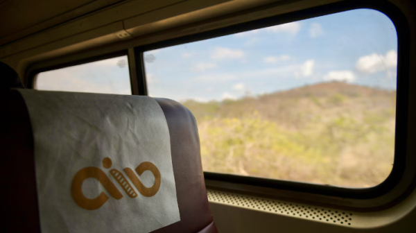 Tragedia en el Tren Interoceánico: político de Morena recibió contratos para darle mantenimiento