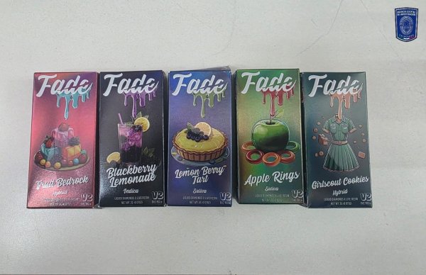 Aseguran camioneta Land Rover robada, arma larga, cocaína y vapeadores