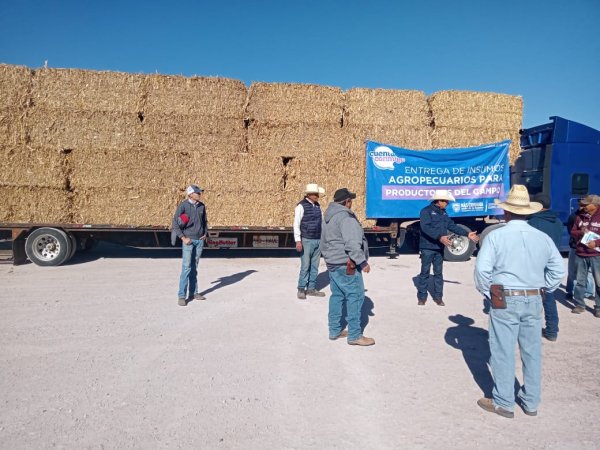 Suman cerca de 15 mil pacas de rastrojo entregadas a productores pecuarios en la primera quincena de enero