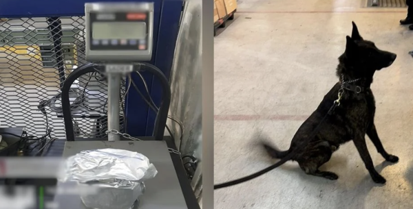 Decomisan en el AICM un paquete de fentanilo con un valor de más de 300 mdp; provenía de Asia