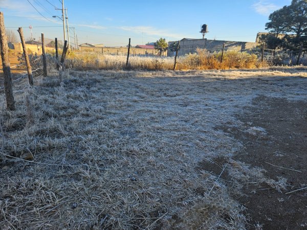 Continuarán bajas temperaturas en el estado; amaneció Temósachic -7°C