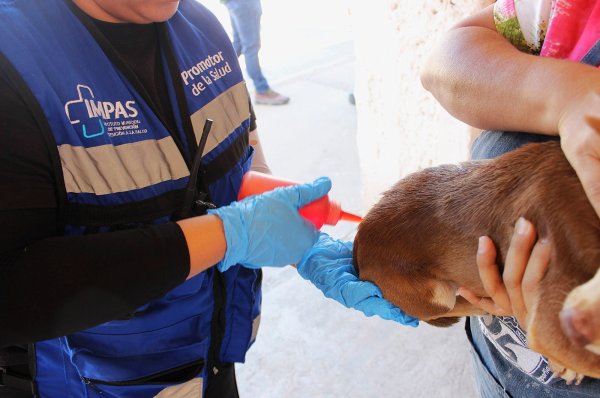 Llevará Municipio “Megapatio de mi Casa” a colonias Campesina Nueva y Alfredo Chávez