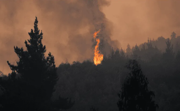 Suben a 20 las víctimas por incendios en el sur de Chile
