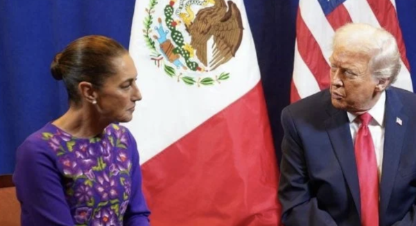 Entrega de capos evidencia 