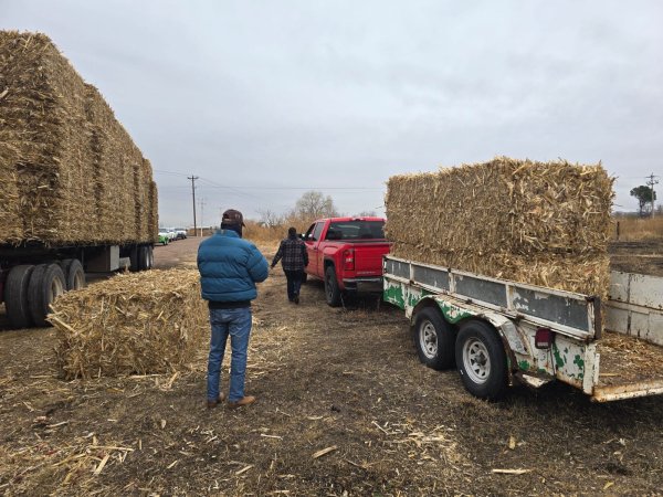 Entregan alimento para ganado a productores de la zona rural