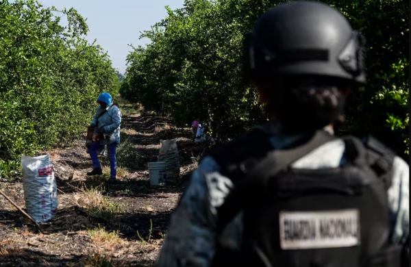 Extorsión en Michoacán: Los 9 jefes criminales que siguen libres tras la caída del “Botox”