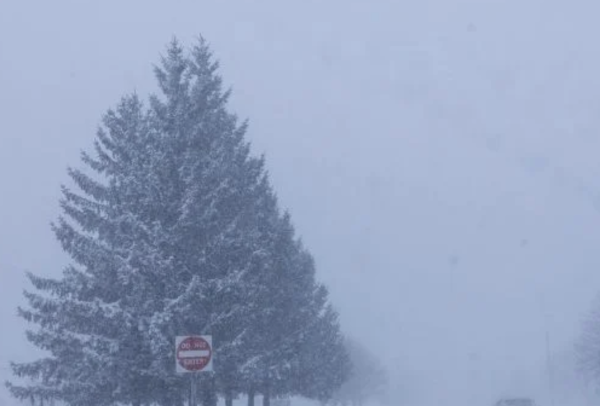 México anuncia plan de contingencia ante posibles fallas eléctricas por tormenta invernal en EU