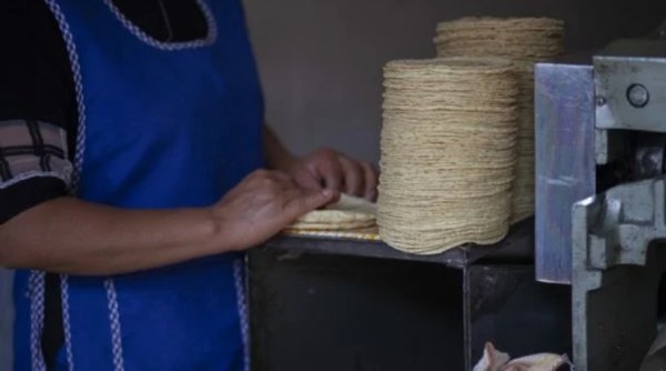 Comisión Antimonopolio libera a las tortillerías de Gruma y abre el mercado a Minsa, de Altagracia Gómez Sierra
